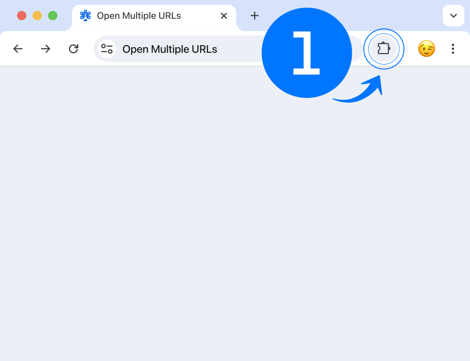 Welcome to Open Multiple URLs!